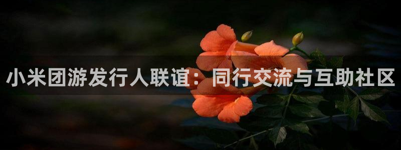 蓝狮子年度最佳图书：小米团游发行人联谊：同行交流与互助社区