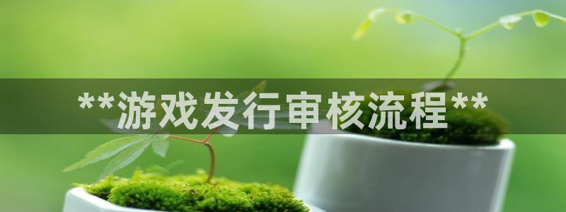 蓝狮在线价 5O6917 蓝狮：**游戏发行审核流程**