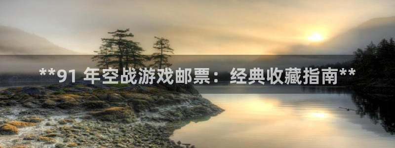 蓝狮衣服怎么样：**91 年空战游戏邮票：经典收藏指南**