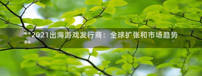 蓝狮在线游戏怎么注册：**2021出海游戏发行商：全球扩张和市场趋势
**