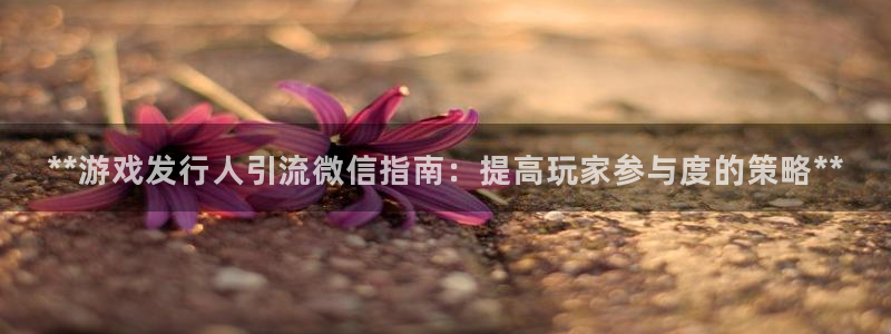 蓝狮在线登录注册：**游戏发行人引流微信指南：提高玩家参与度的策略**
