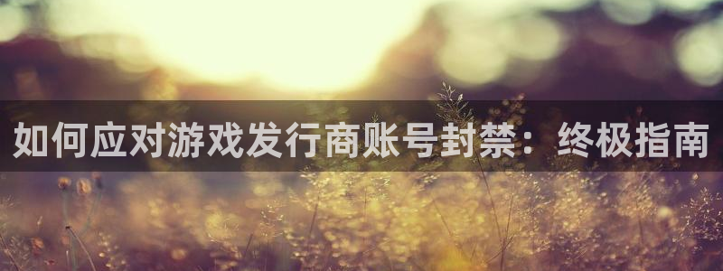蓝狮在线注册平台合法吗?：如何应对游戏发行商账号封禁：终极指南