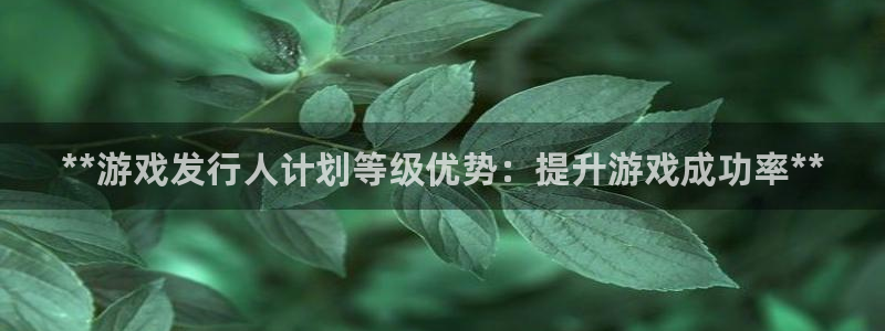 蓝狮子公司怎么样知乎：**游戏发行人计划等级优势：提升游戏成功率**