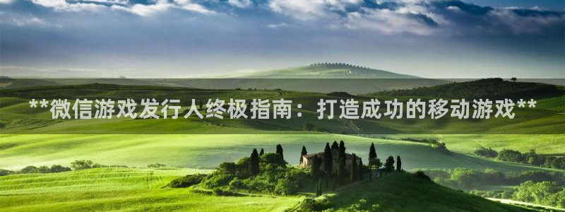 蓝狮科技股票：**微信游戏发行人终极指南：打造成功的移动游戏**