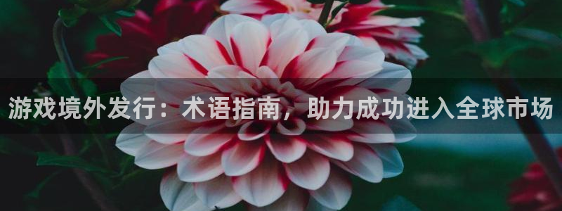 蓝狮在线注册平台登录不了：游戏境外发行：术语指南，助力成功进入全球市场