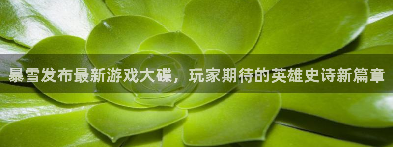 蓝狮在线注册平台是什么公司：暴雪发布最新游戏大碟，玩家期待的英雄史诗新篇章