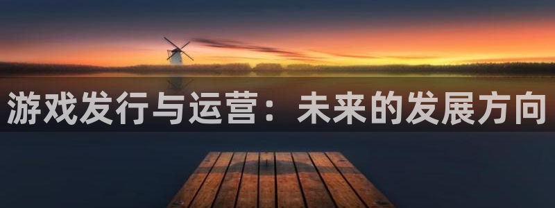 蓝狮gs：游戏发行与运营：未来的发展方向