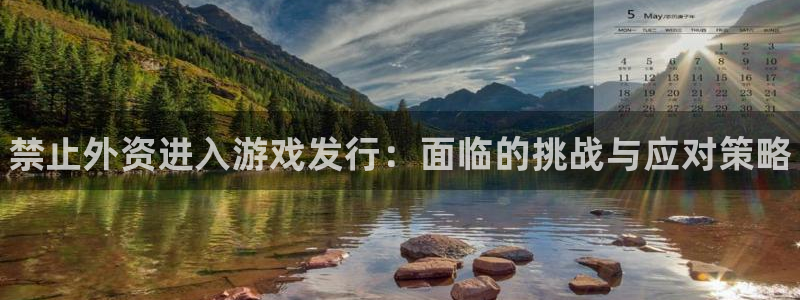 广东蓝狮营销策划有限公司：禁止外资进入游戏发行：面临的挑战与应对策略