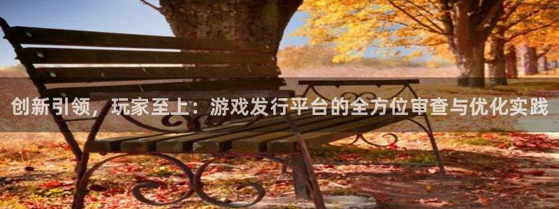 蓝狮在线跑路了吗：创新引领，玩家至上：游戏发行平台的全方位审查与优化实践