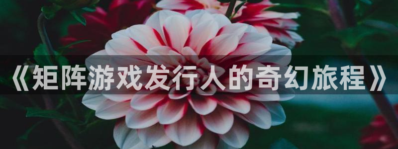 蓝狮服装：《矩阵游戏发行人的奇幻旅程》