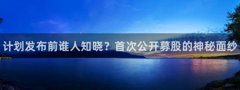 蓝狮在线注册平台官网：计划发布前谁人知晓？首次公开募股的神秘面纱
