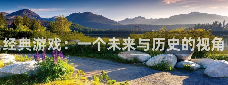 陕西蓝狮子文化创意干啥的：经典游戏：一个未来与历史的视角