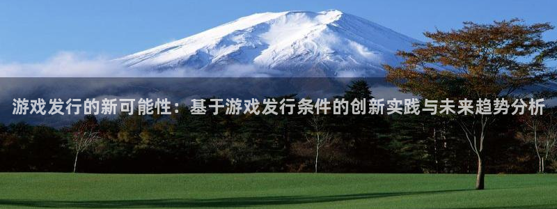 蓝狮平台登录入口官网：游戏发行的新可能性：基于游戏发行条件的创新实践与未来趋势分析