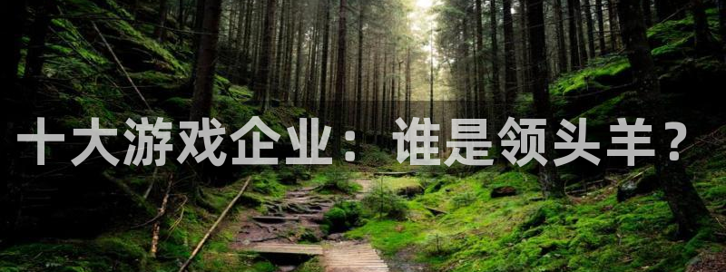 蓝狮技术有限公司怎么样