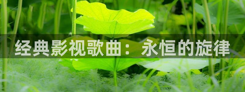 51yye com首播影院：经典影视歌曲：永恒的旋律