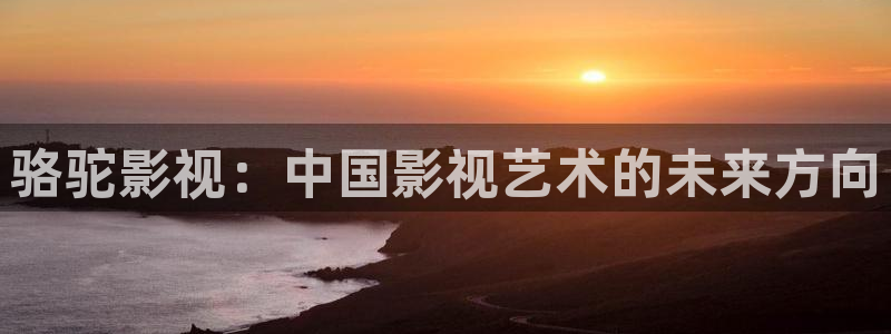yy6080首播影院：骆驼影视：中国影视艺术的未来方向